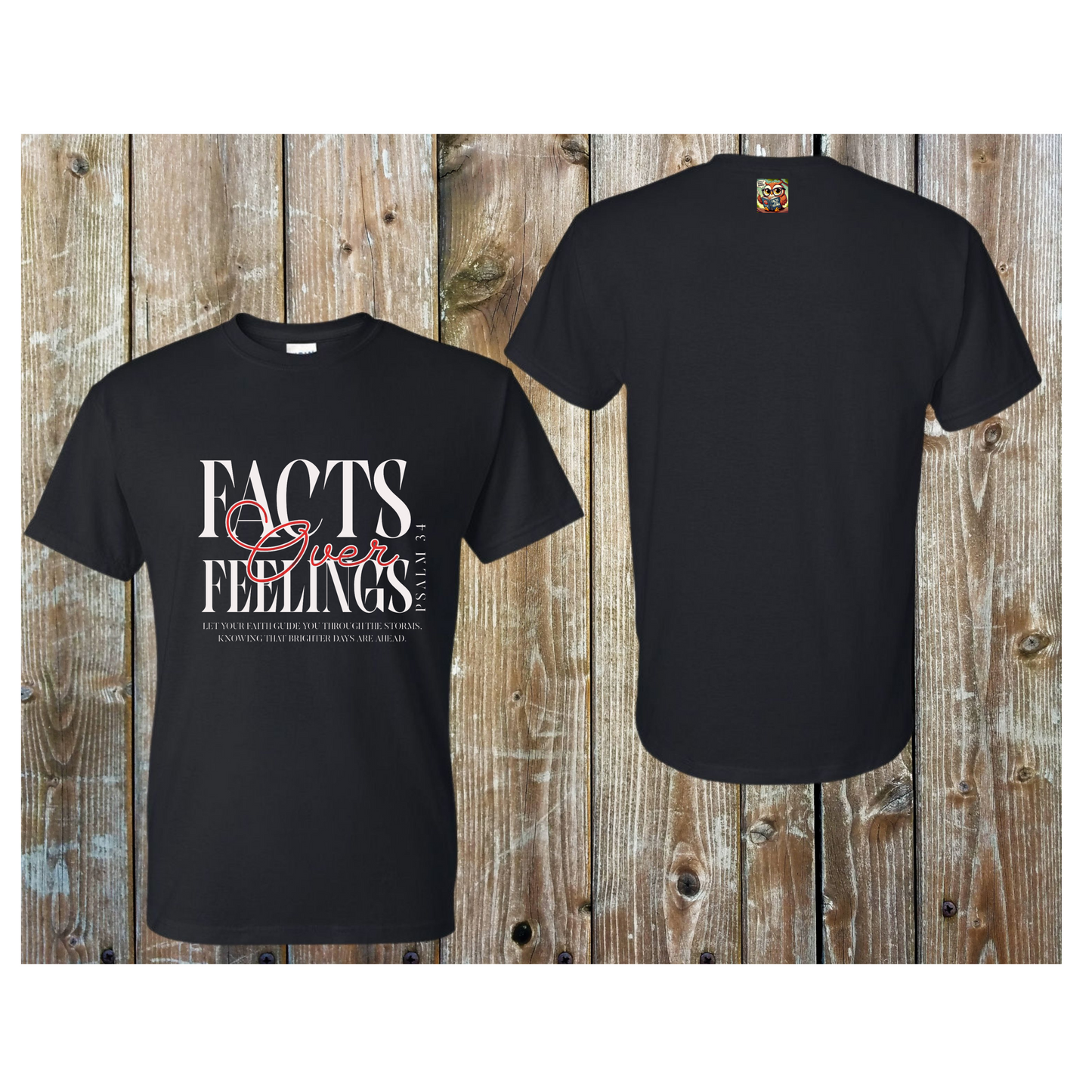 Facts Over Feelingz t-shirt