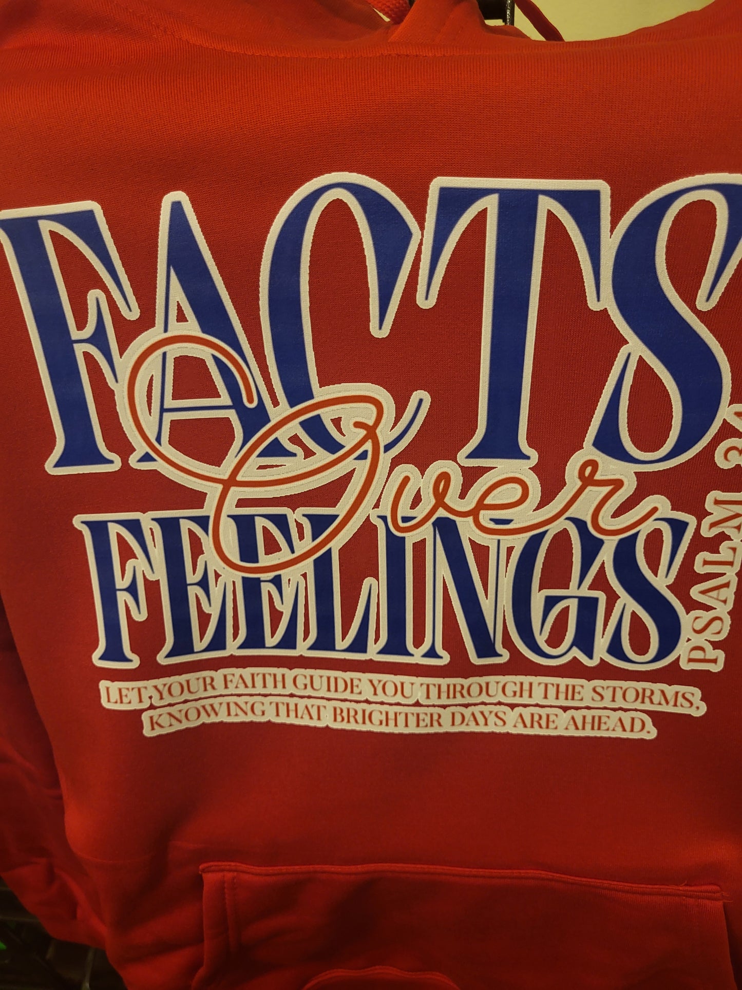 Facts Over Feelingz hoodie