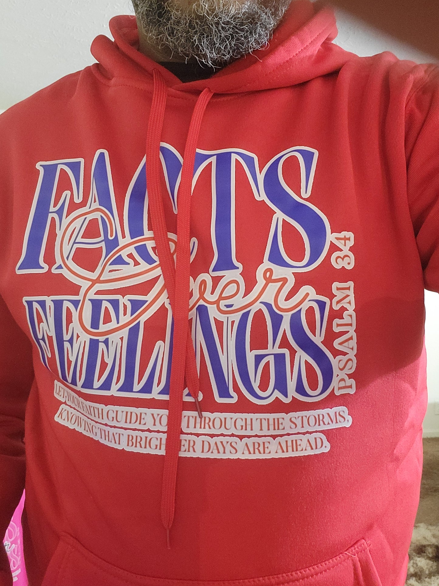 Facts Over Feelingz hoodie