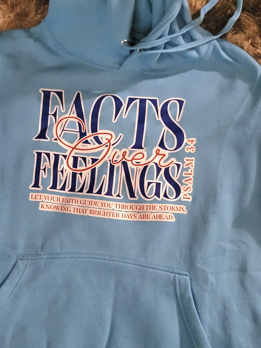 Facts Over Feelingz hoodie